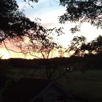 Jeff Sweitzer Photo 21
