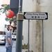 Shing Wong Photo 16