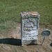 David Higgins Photo 34
