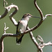 Richard Murrell Photo 32
