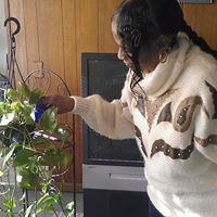 Cynthia Stringer Photo 8