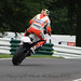 Andrew Padgett Photo 35
