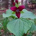Robin Mitchell Photo 6