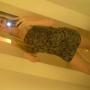 Deborah Kohler Photo 18