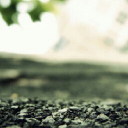 Can Chen Photo 18
