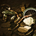 Jason Moody Photo 34