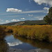 Roger Peterson Photo 28