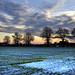 Kirk Fields Photo 17