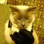 Dorian Gray Photo 23