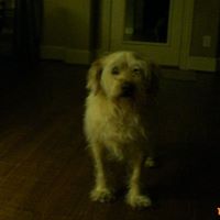 Fred Patrick Photo 21
