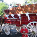 Kathryn Busch Photo 12