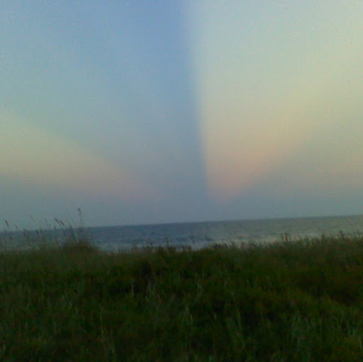 Laurie Poole Photo 32