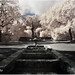 Javier Aros Photo 28
