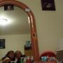 Mary Molnar Photo 17