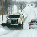 Allan Rickards Photo 15
