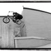 Daniel Goldman Photo 26