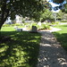 Steven Coburn Photo 26