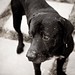 Cindy Bemis Photo 17