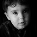 Christopher Hayden Photo 18