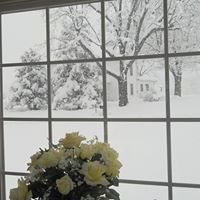 Barbara Kline Photo 18