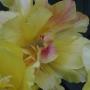 Martha Grimes Photo 19