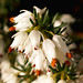 Erica Winters Photo 14