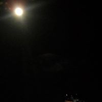 Frances Burks Photo 10