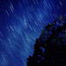 Joshua Summers Photo 9
