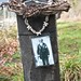 William Springs Photo 15
