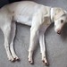 Sandy Day Photo 29
