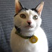Frances Nance Photo 17