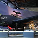 Douglas Leavitt Photo 15