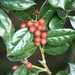 Buford Berry Photo 3