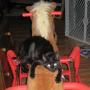 Kathy Parker Photo 6