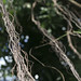 Adam Krohn Photo 24