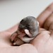 Debbie Winters Photo 22