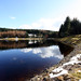 Lynn Kilpatrick Photo 19