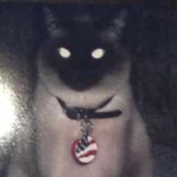 Janet Dotson Photo 12