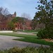 Cindy Sheldon Photo 19