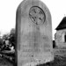 Samuel Cole Photo 39