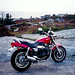 Peggy Talbot Photo 9