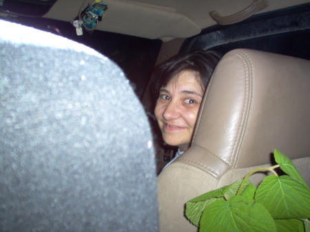 Stacy Taylor Photo 5