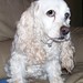 Mollie Mills Photo 30