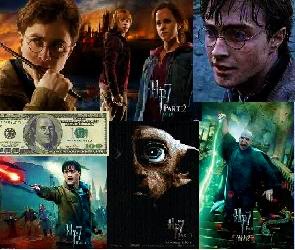 Elizabeth Potter Photo 20