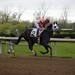 Kristopher Robinson Photo 8