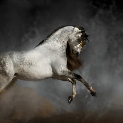Amber Lentz Photo 9