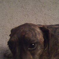 John Pyburn Photo 5