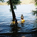 Cynthia Andrews Photo 37