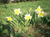 Connie Walter Photo 30