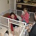 Nancy Carey Photo 10